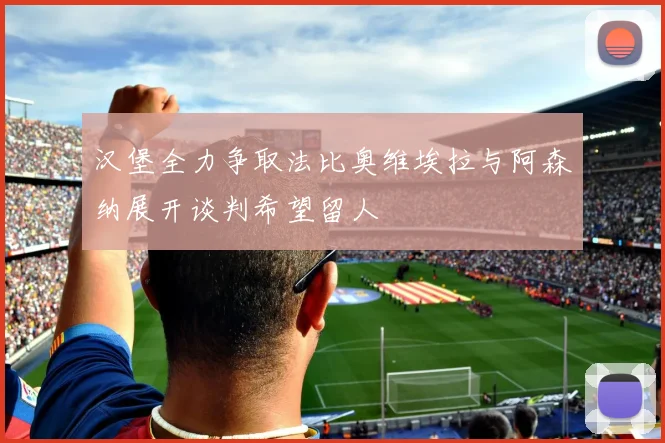 汉堡全力争取法比奥维埃拉与阿森纳展开谈判希望留人